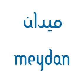 Meydan Group LLC