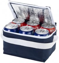 Spectrum 6 cans Cooler Bag
